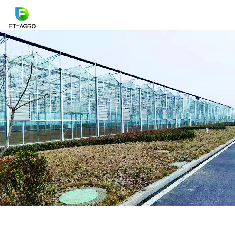 2021 Modern design high tech glass greenhouse equipped with aquaponic system for agriculture planting