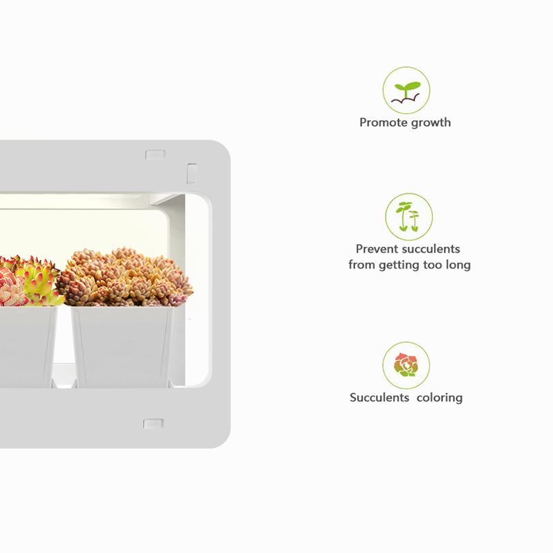 Minigarden Eragon with planter - smart arvest hydroponic indoor garden system indoor garden light