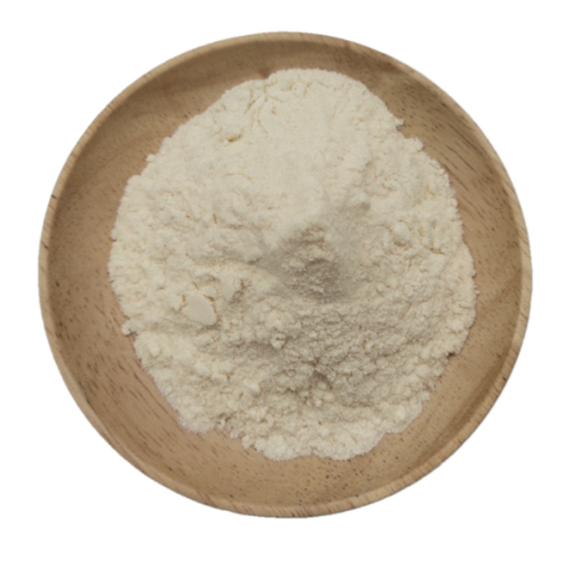 Supplier low price 100% natural organic lemon juice powder
