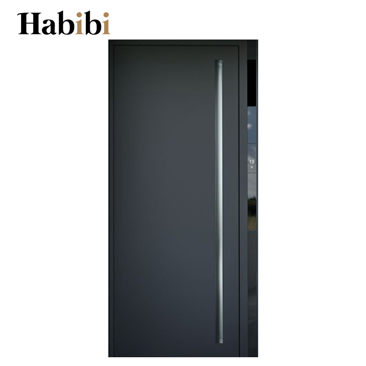 Foshan Factory Exterior House Black Metal Security Main Entrance Stainless Steel Door