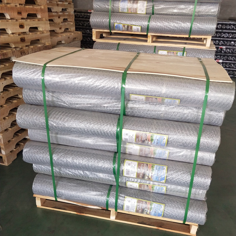Hot sale PVC coated Chicken cage Hexagonal wire Mesh China factory
