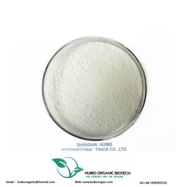 Organic corn starch best price