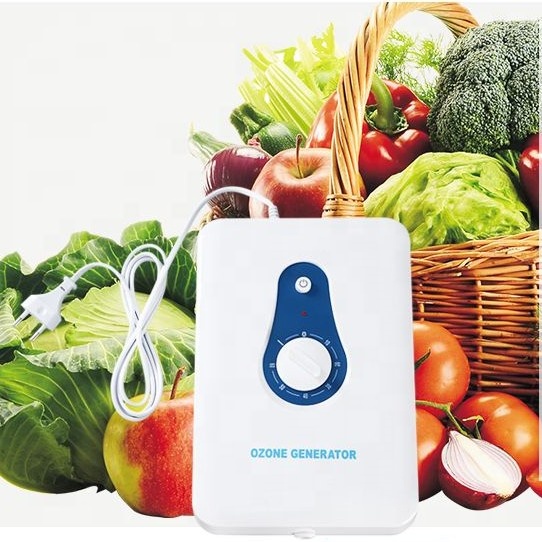 Mini House Fruit Vegetable Ozone Steril Disinfection Vegetable Disinfection Machine Food Sterilize Autoclave Food Sterilizer