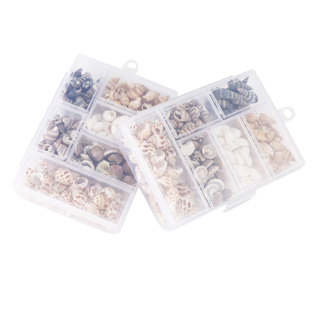 Fish tank decorative shell natural small snails Micro landscape decoration Fish tank supplies