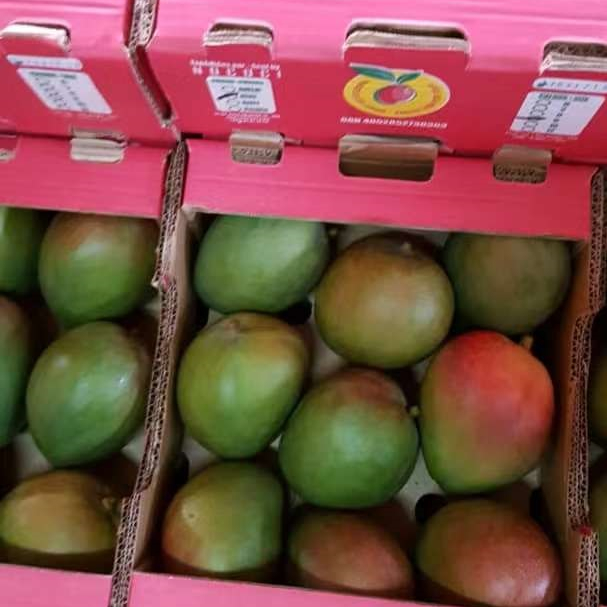 Большие и сладкие манго из Africa-NO.Exporter блока питания (+ 22575226037)