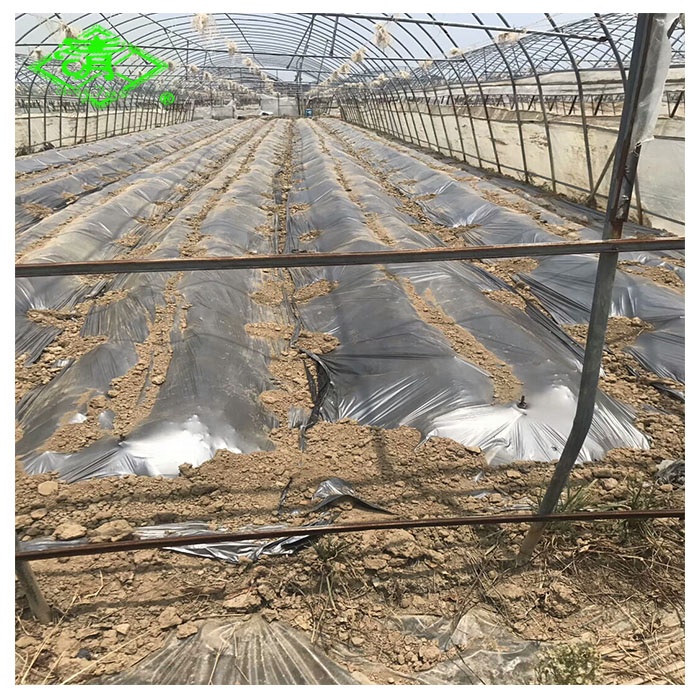 20 микрон ldpe сельскохозяйственная пластиковая перфорированная Оптовая мульчирующая бумага
