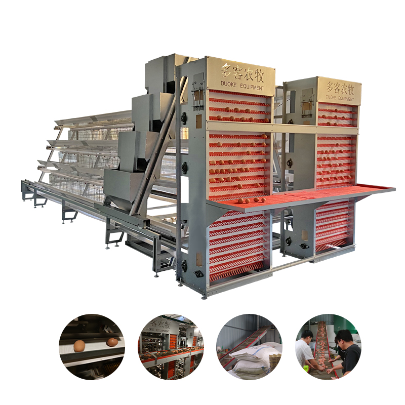 Professional automatic laying hens a type chicken cage for sale poultry farm