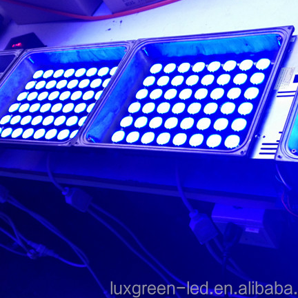 Ip65 dmx512 управление rgb наружный прожектор dmx светодиодный RGBW прожектор