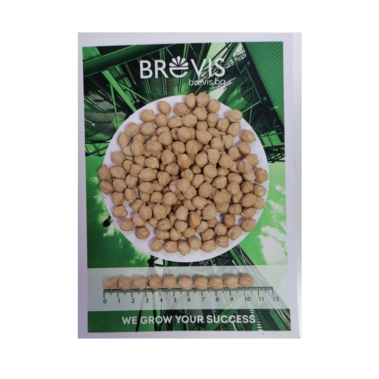 Kabuli Chickpeas for Sale Fresh 9 mm Raw Big Bags or 25 kg pp bags Bulgarian Orign Top Quality New Crop Bulk Style Packaging