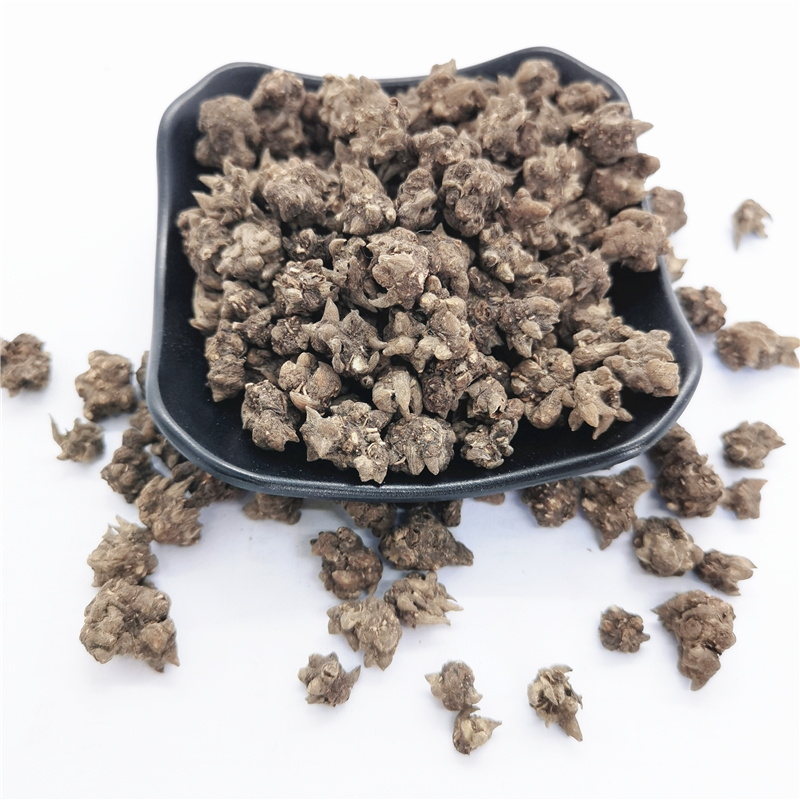 maozhaocao bulk chinese herbal Ranunculus ternatus dried ternate buttercup root