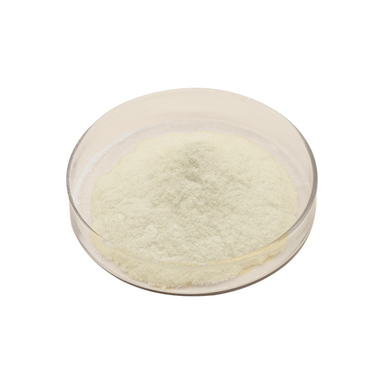 Factory Price Bulk Organic Chitosan Powder