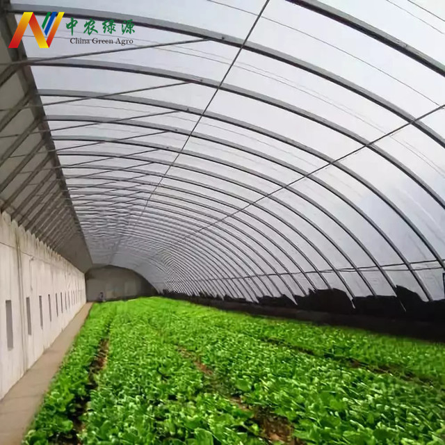 China manufacture agricultural solar greenhouse for flower planting