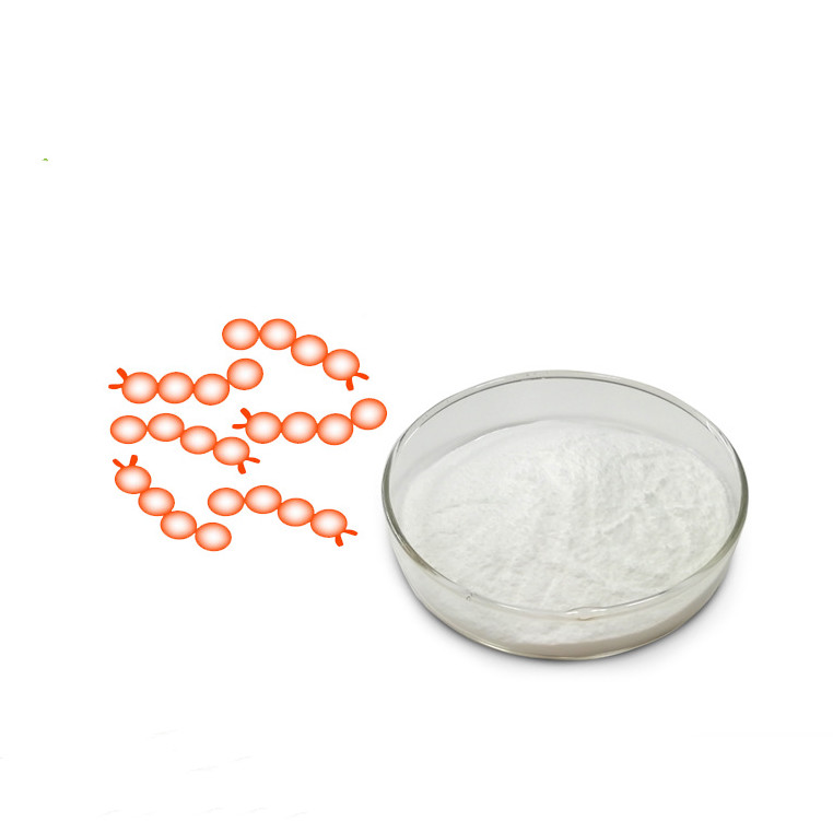 Best price Freeze dried powder streptococcus thermophilus probiotics new immune support