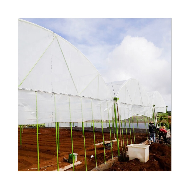 Automatic multi span film greenhouse modern agricultural greenhouse hot galvanized steel structure other greenhouses