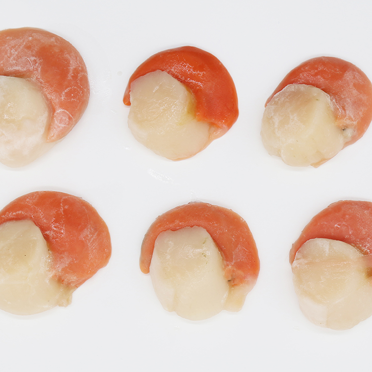 High Quality Top Grade Wholesale Frozen Scallop Meat