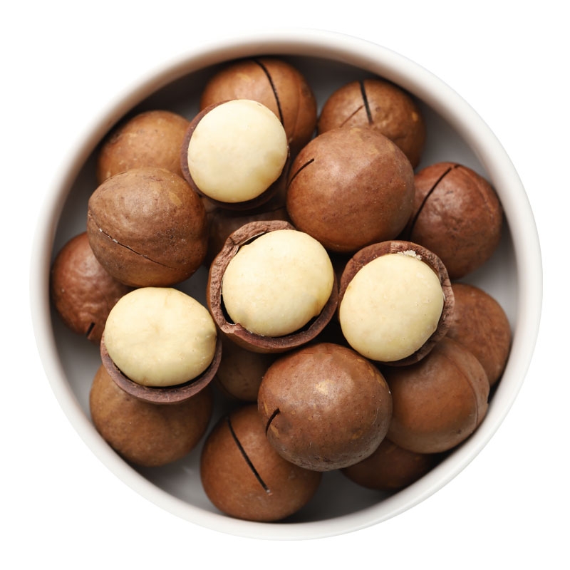 Chinese Organic nuts macadamia nuts in shell and without shell for wholesale Macadamia Nut