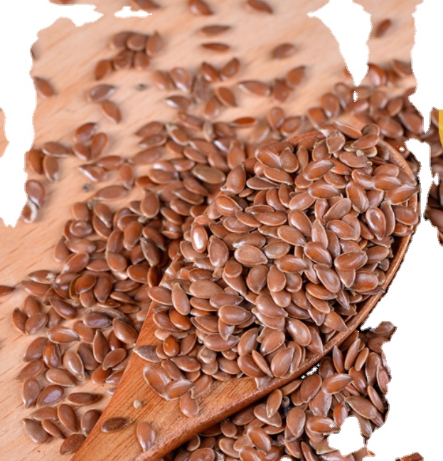 High quality ripe raw Brown Flax seed for food use