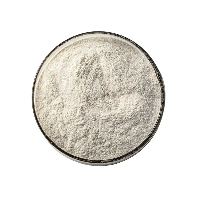 Vegan Food Additives Soybean Powder Instant Soluble Organic Soybean Powder With Private Label