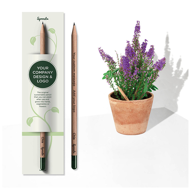 Customized Plantable Sprout Pencil Chia Made from Certified Wood Eco-friendly Promotional Business Gifts