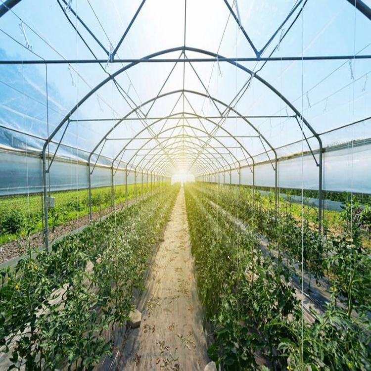 Дешевые сельскохозяйственные палатка singlespan Polytunnel Green House полиэтиленовая пленка туннель однопролетные теплицы для продажи
