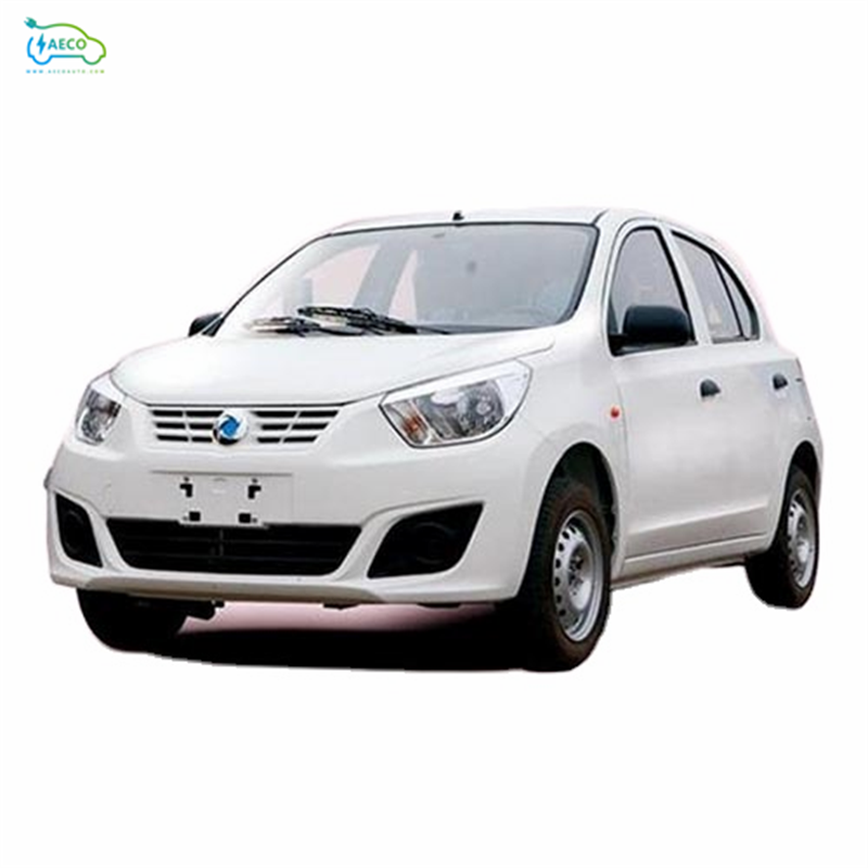 Hot Sell Cars Er30 Brand Suitable High Speed Car Electric Cheap New Car Made In China