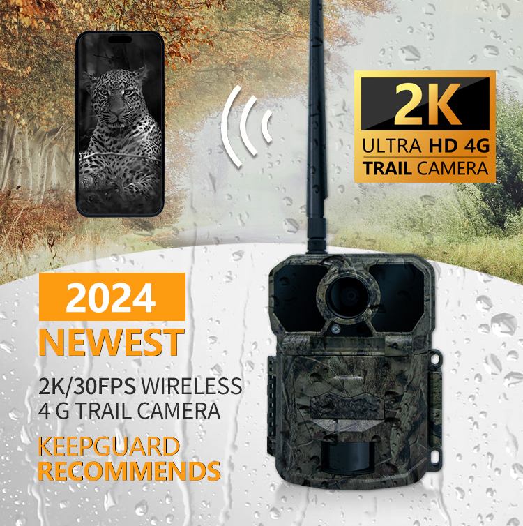 4G FHD 2K PIR Camera Hunting IR Night Vision hunting cameras IP65 Waterproof Outdoor Wildlife Trail Camera