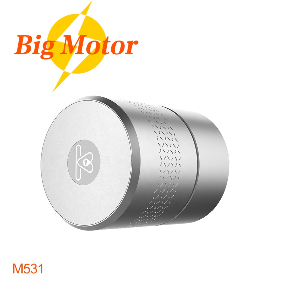Умный дверной замок Zigbee BT M531 в стиле NUKI, замок для европейских профилей/швейцарских колец/британских овальных/ручных цилиндров