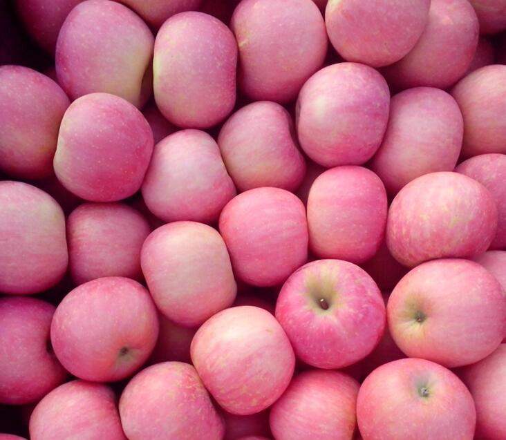 Fuji apple fresh, Китай, fuji apple, цена