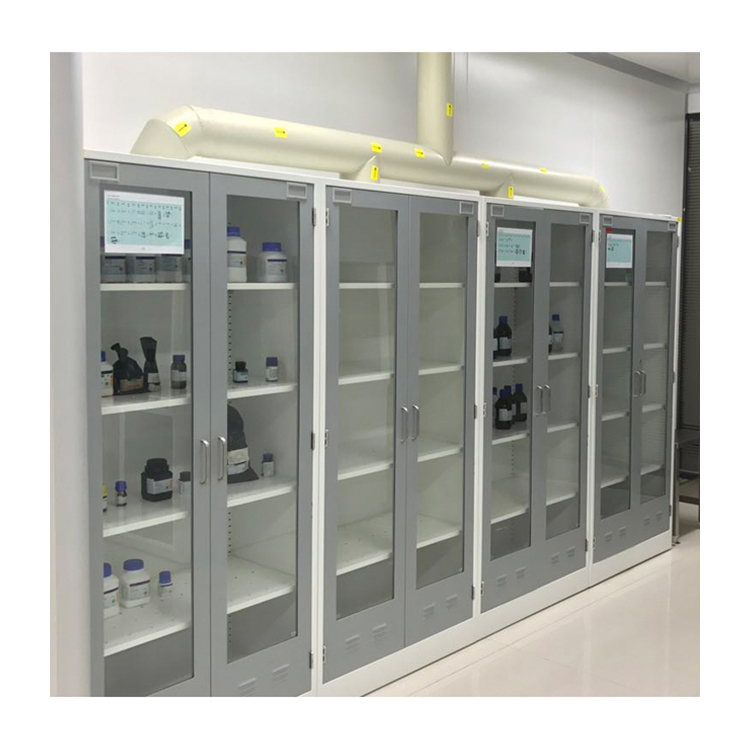 Durable In Use Hot Sale Chemical Laboratory Furniture Two Door Cupboard Reagent Tall Storage cabinet