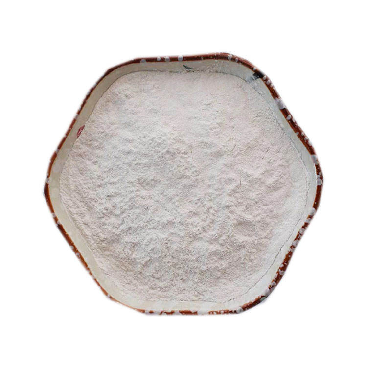 Factory direct sale Regulating intestinal tract Clostridium butyrate for animals