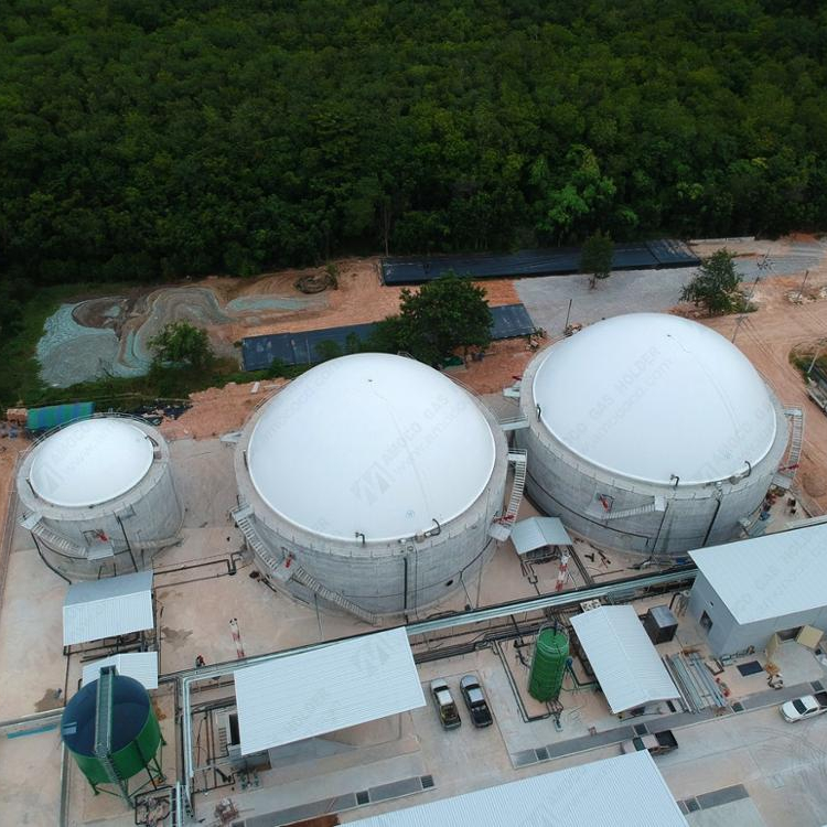ПВХ Мембранный баллон для хранения биогаза, фиксированный на бетонной основе для биогаза из Китая