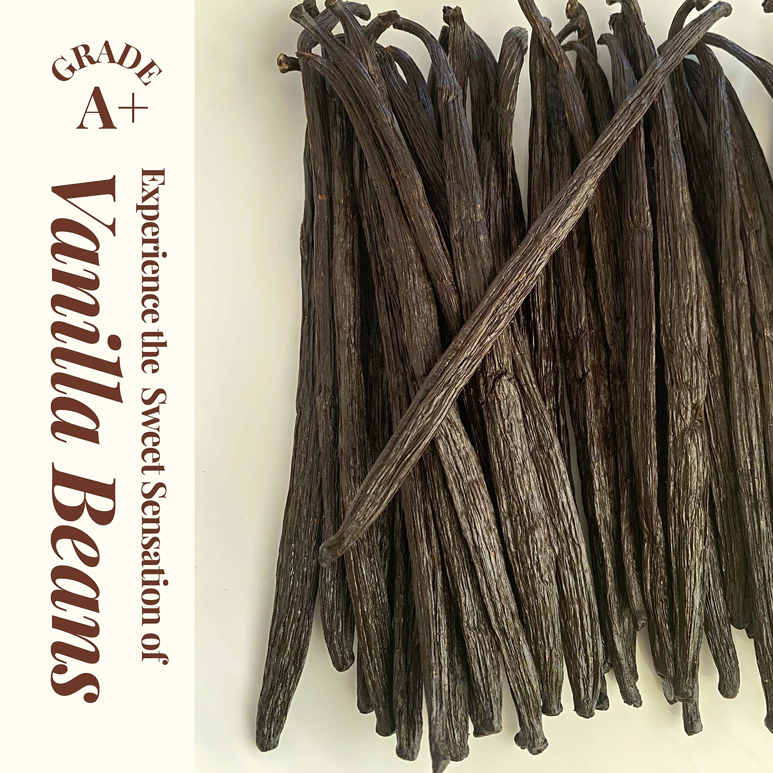 Vanilla Beans Powder for Making Vanilla Extract for Restaurants Home Baking Dessert Cooking Crafting Beverages Packaged in Bag