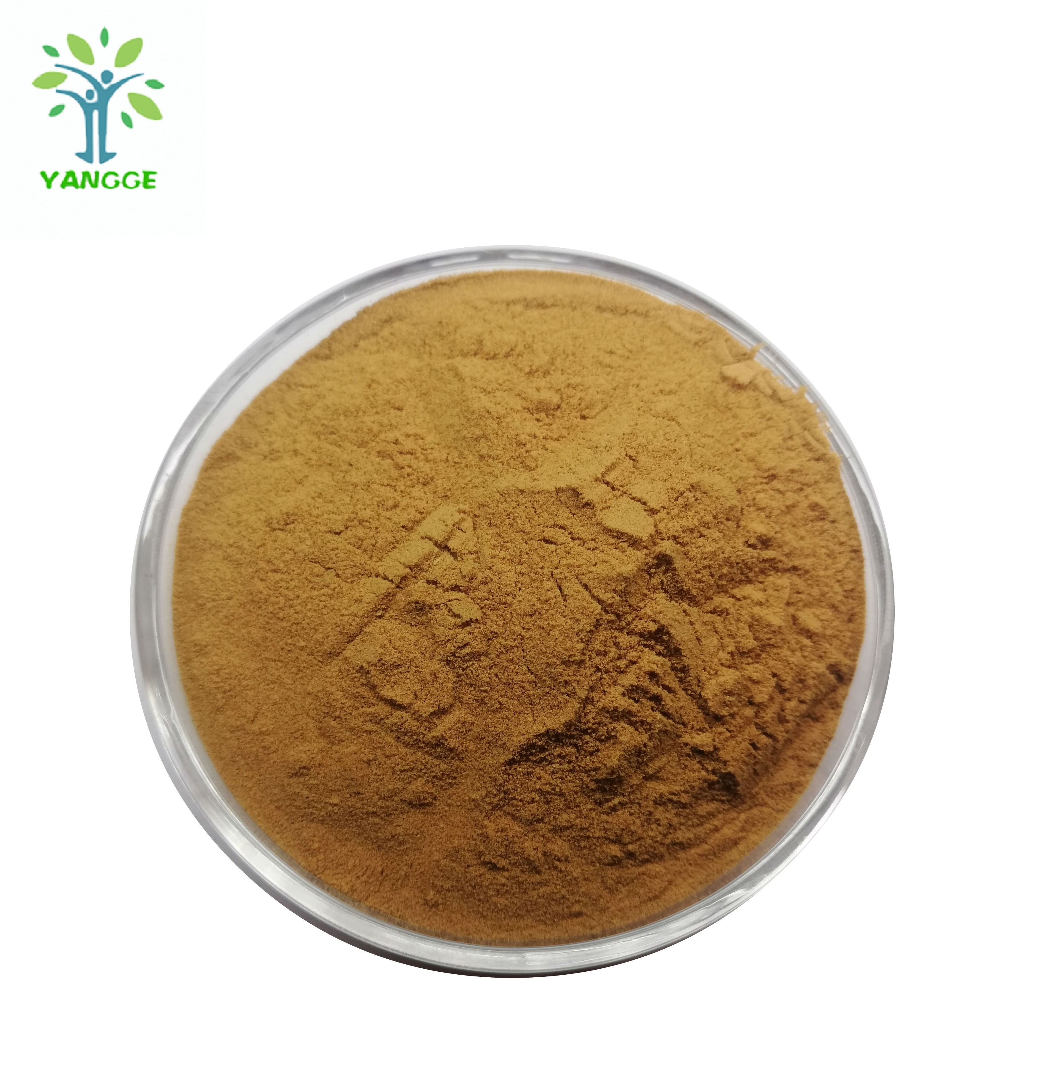 Горячие продажи кодонопсис пилосула экстракт корня Dangshen
