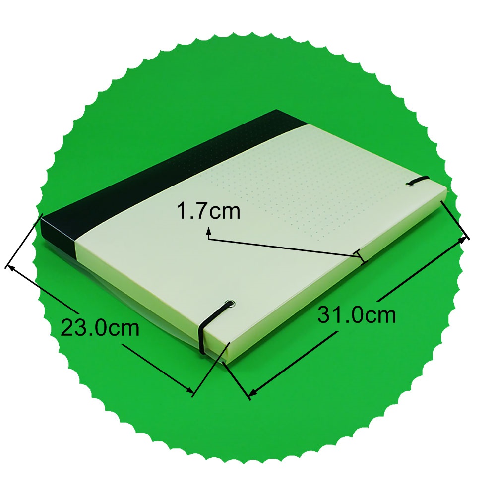 Clear China document display book A4 size PP plastic file folder