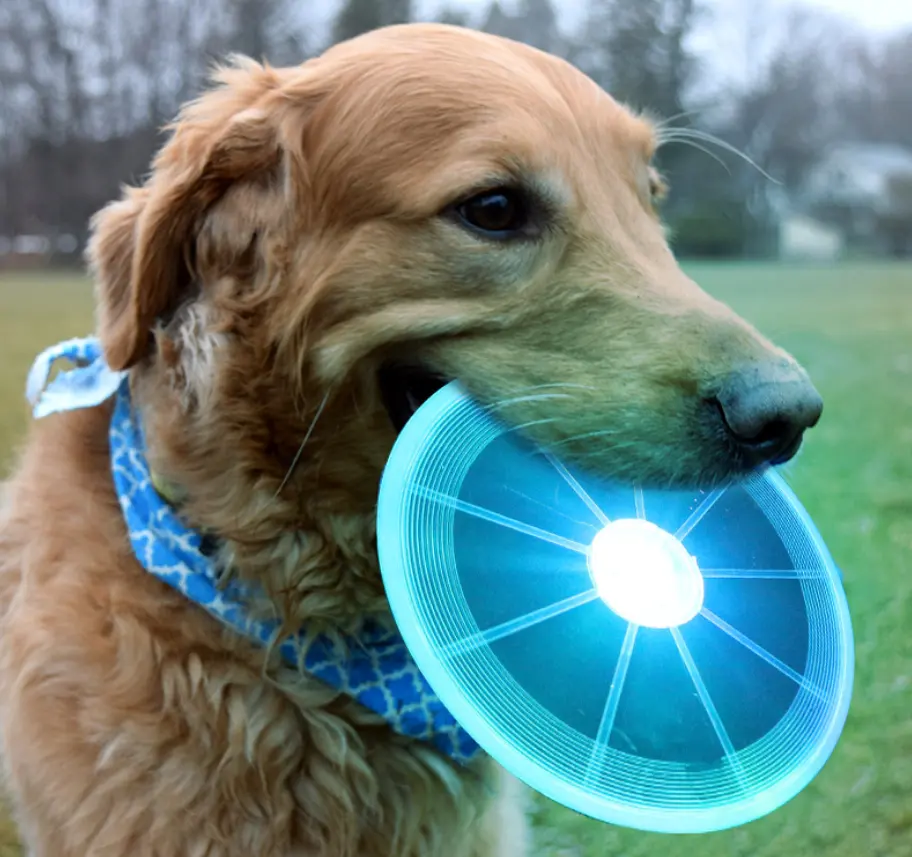 Pet outdoor training fly disc dog waterproof LED toy light dog usb toy