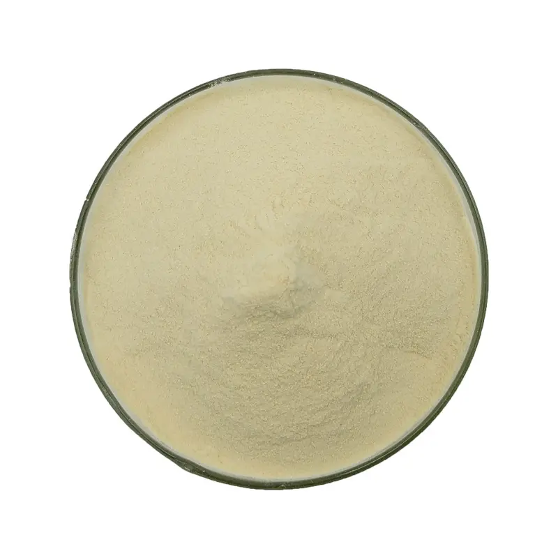 China Best pure camel milk instant camel milk powder 1kg