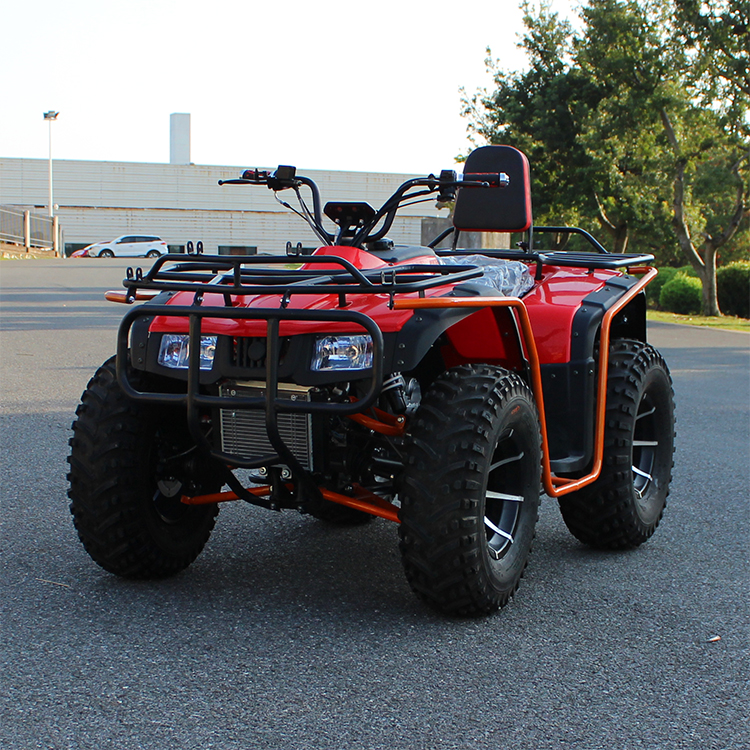Off road four-wheel drive quad bike adult electric ATV 250cc 4x4