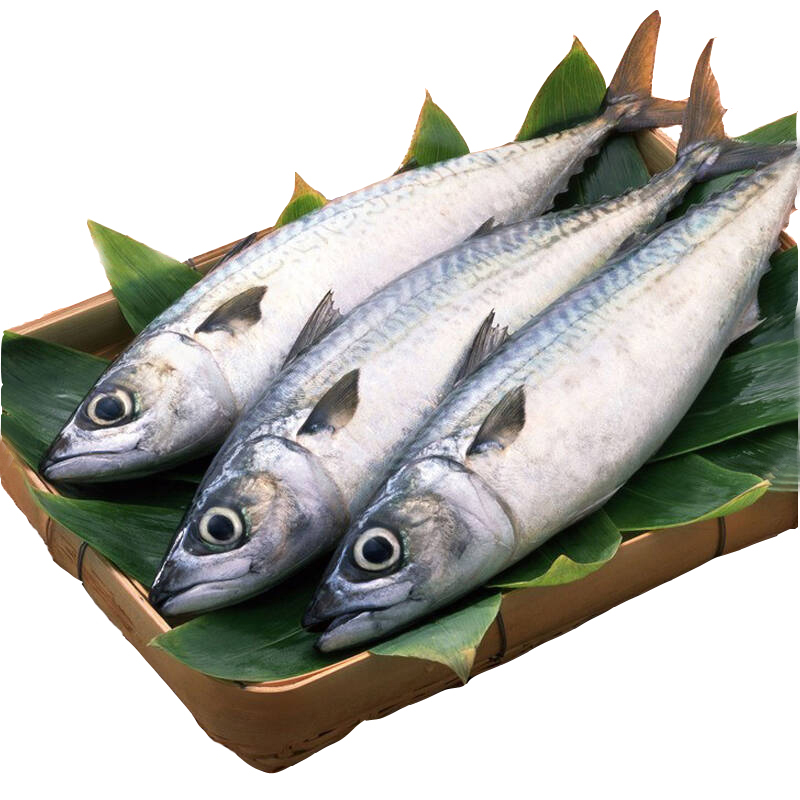 Замороженная скумбрия Scomber Fish хорошего качества