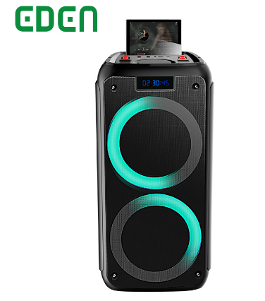 Фабрика Dual 8-дюймовый Профессиональный для активного отдыха на открытом воздухе для аудио светодиодный диско ди-джей портативный беспроводной BT вечерние внутренний звуковой динамик
