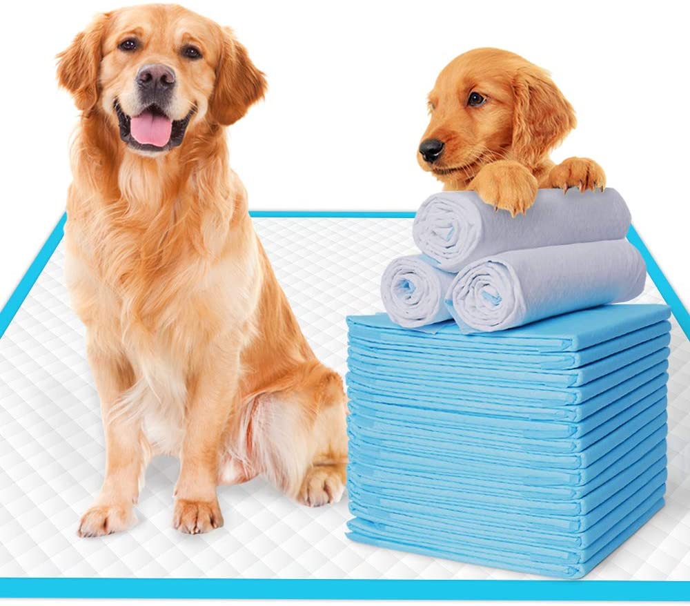 pee pads for pets Indoor Super Absorbent and Leak-Free Disposable Pet Pad Pet Training Pads