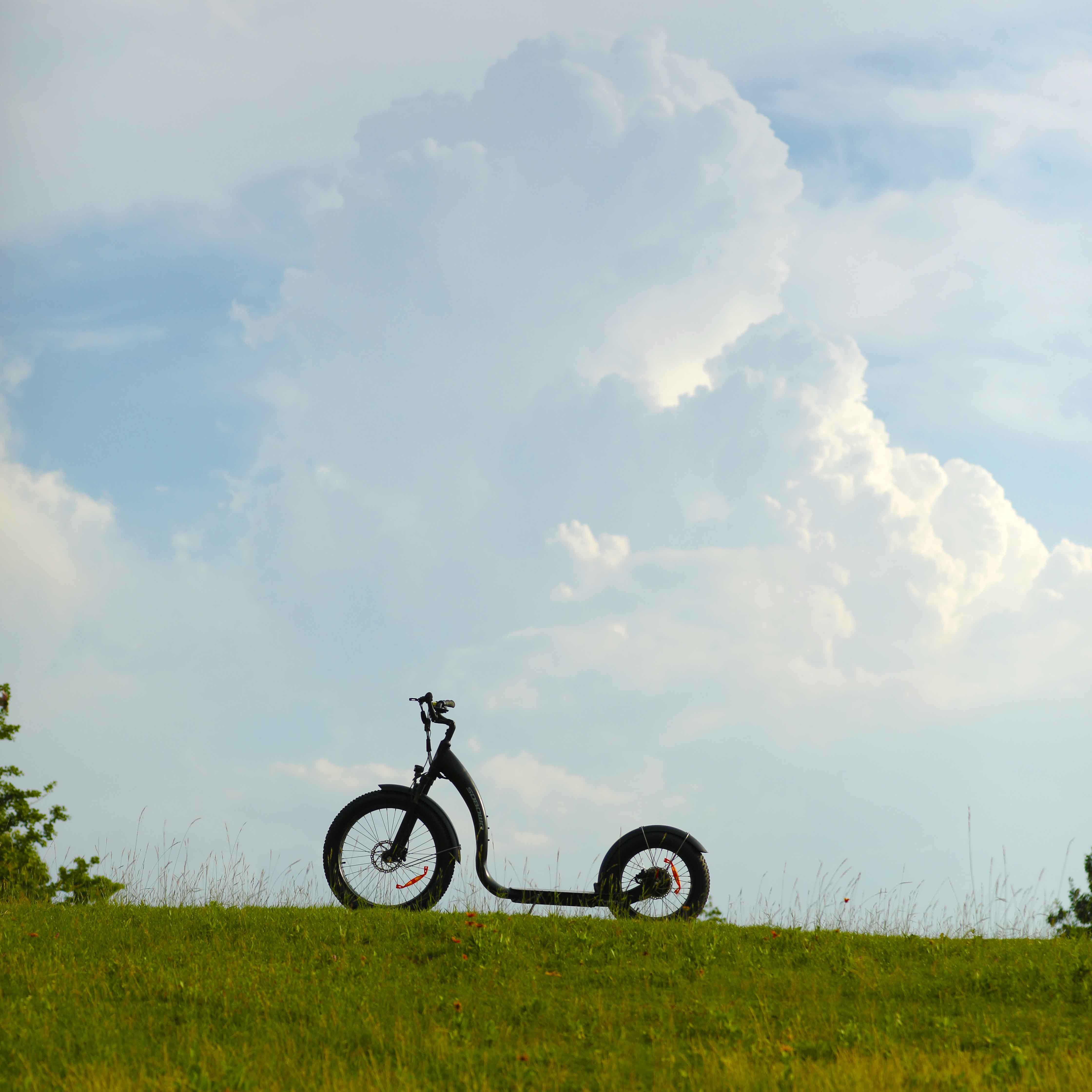 Sobowo большая шина с литиевым аккумулятором Электрический велосипед kickbike