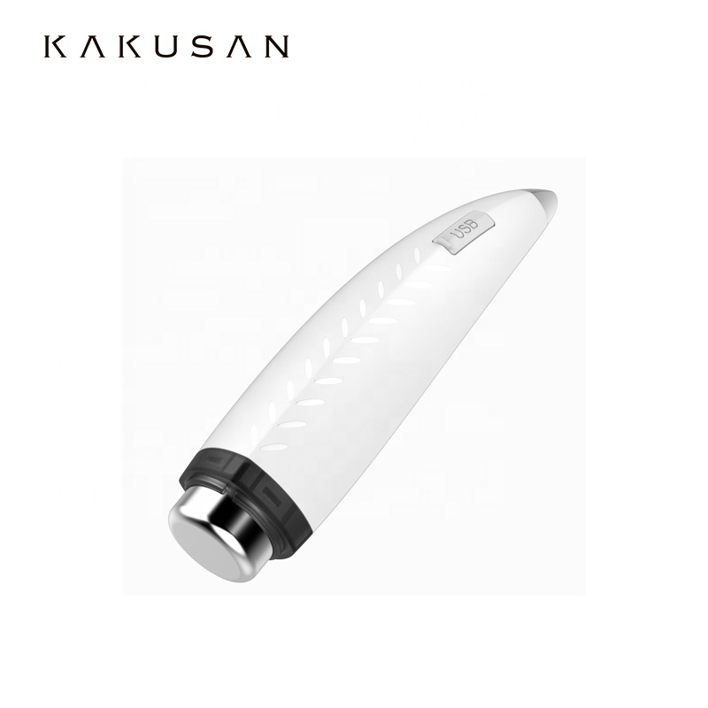 Kakusan wrinkle remove ultrasonic facial device home use skin tightening machine