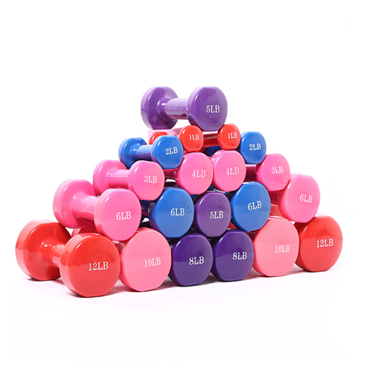 Wholesale Home Fitness Hand Weight Women Dumbbell