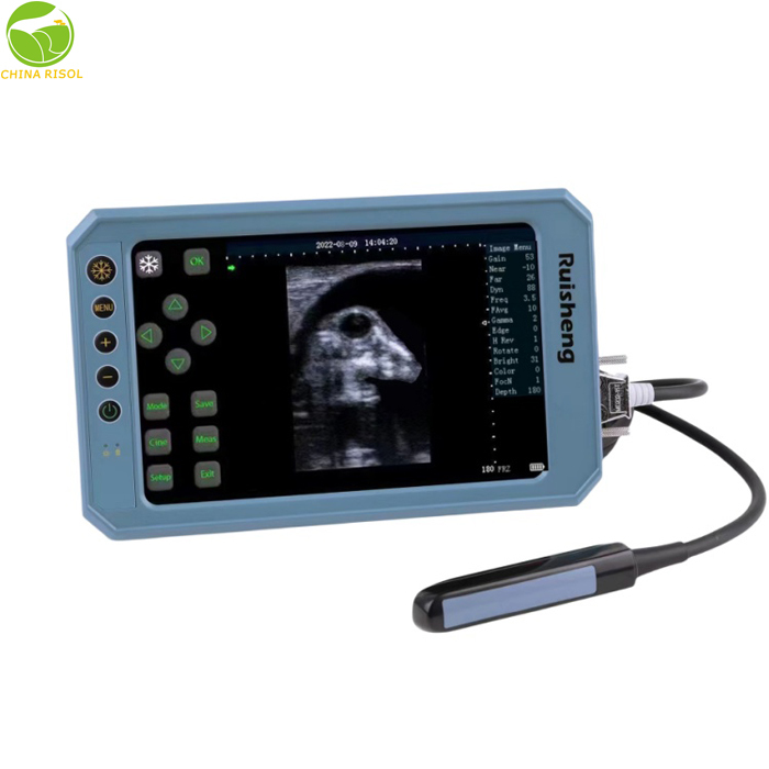 Professional Medical Ultrasound Instruments for Veterinary Ultrasonography
