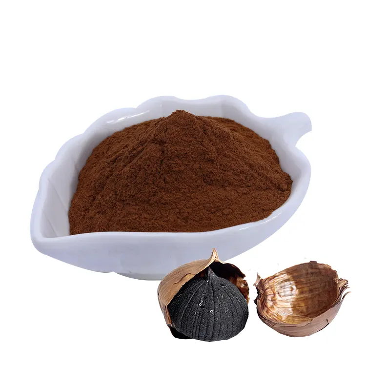 Plant Extract Black Garlic Extract Powder High Quality Good for Health Powder