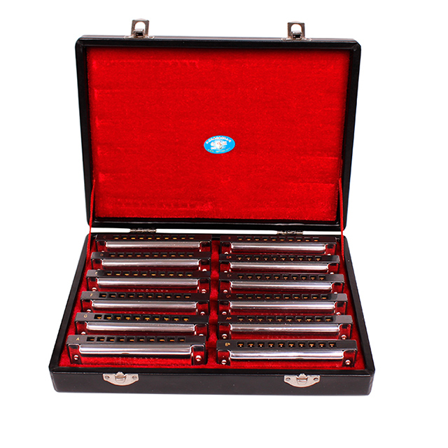 Лебедь SW1020H-12T 10 отверстие 12-Tune Set-упаковка Губная гармошка подарочная коробка