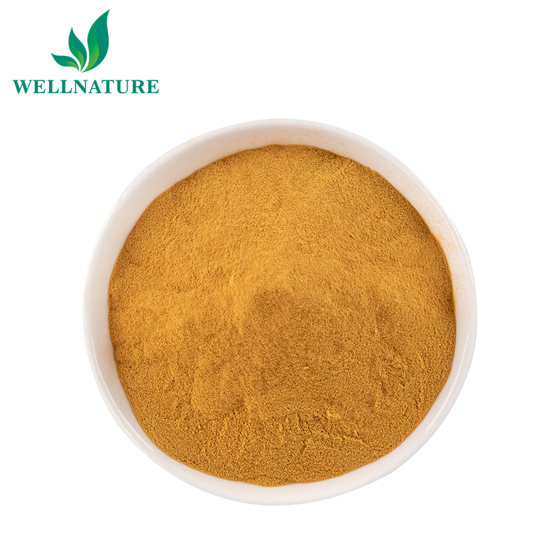 High Quality yeast powder price 100g gluthatione powder yeast 50%brewers yeast powder for bee