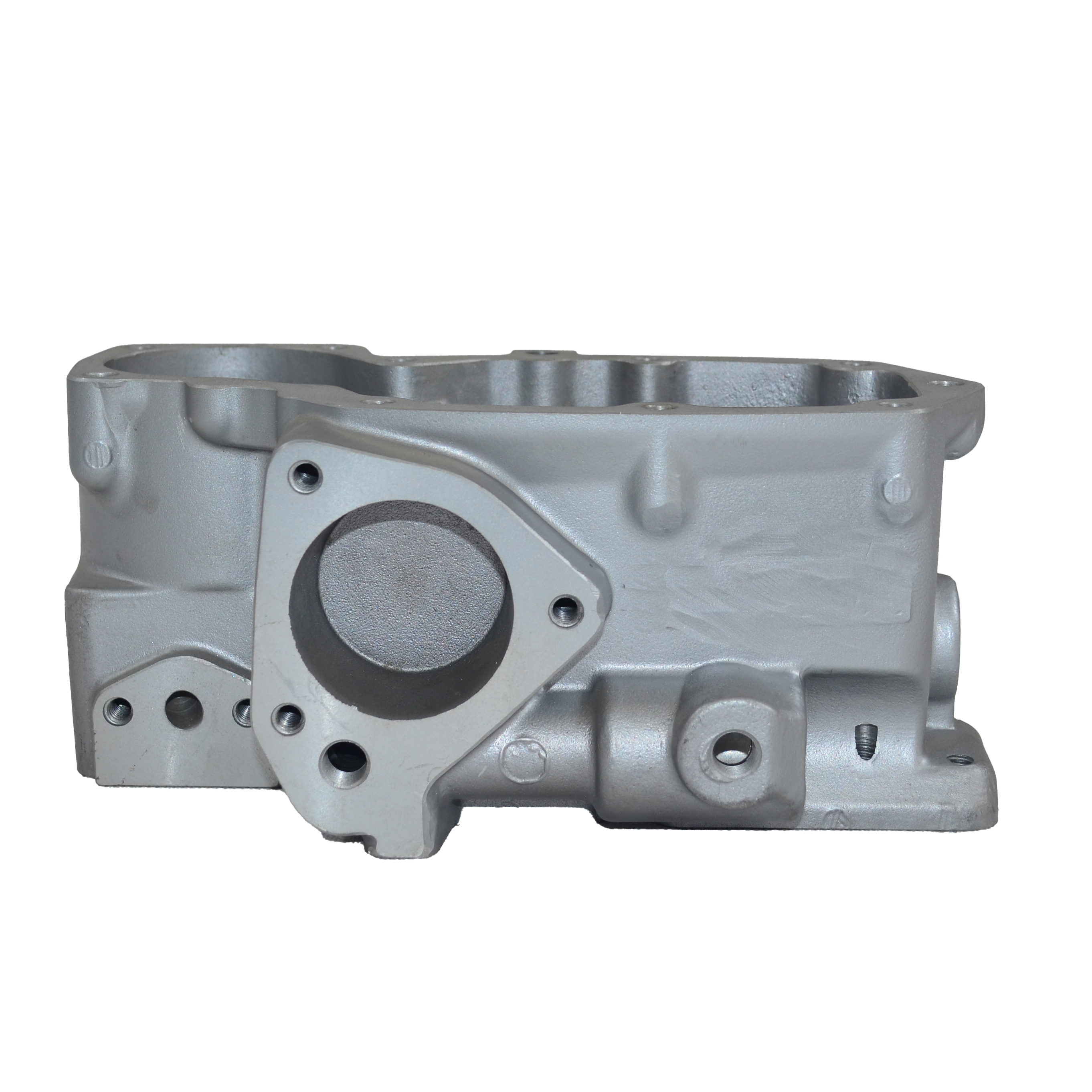 body pump housing customised factory sale engine parts aluminum casting low pressure casting