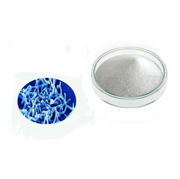 High Quality Lactobacillus Gasseri Food Grade Lactobacillus Gasseri