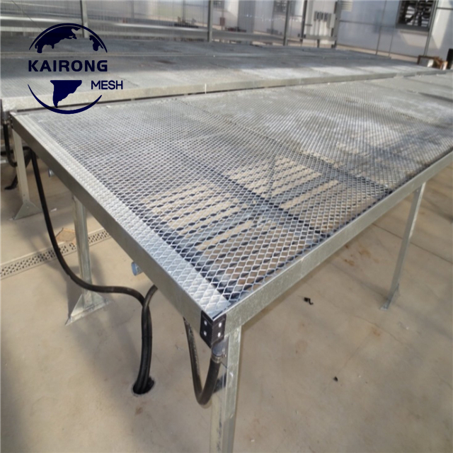 China Supply Ebb/ Flow Rolling Weight Table/Bench For Hydroponic Grow Vegetables /Flowers